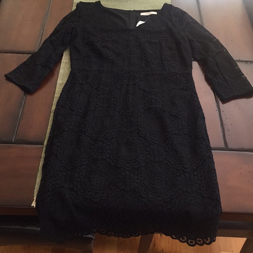 Loft lace knee length dress